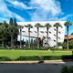 Issam Fares Institute